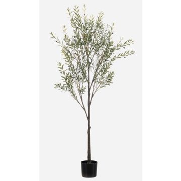 Olivenbaum künstlich LONIRB mit Früchten, Kunststamm, crossdoor, 175cm