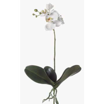 Kunststoff Phalaenopsis Orchidee FAO auf Steckstab, weiß, 45cm Kunststoff Phalaenopsis Orchidee FAO auf Steckstab, weiß, 45cm