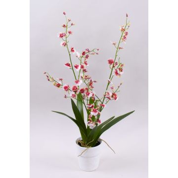 Kunstblume Orchidee Oncidium YOSEPHIN im Tontopf, weiß-rot, 70cm