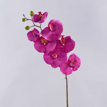 Deko Phalaenopsis Orchidee künstlich RICKY, pink, 95cm, Ø7-11cm Deko Phalaenopsis Orchidee künstlich RICKY, pink, 95cm, Ø7-11cm
