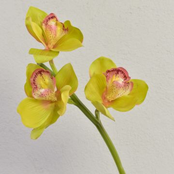 Kunstblume Zweig Cymbidium Orchidee SERAPHINA, grün-rosa, 45cm, Ø10-13cm