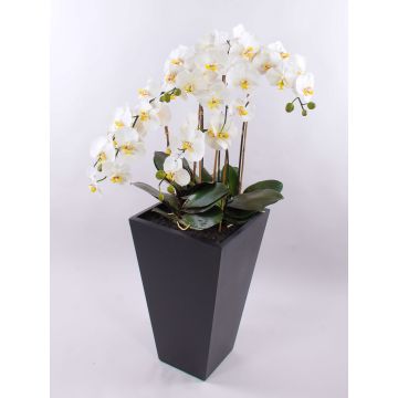 Künstliche Blume Phalaenopsis Orchidee WILHELMINA, Holztopf, weiß, 150cm