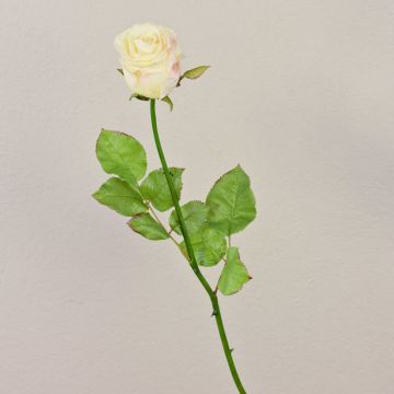 Künstliche Rose OPHELIE, creme-rosa, 85cm, Ø7cm