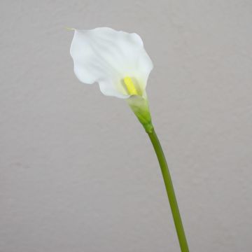 Calla künstlich PEPITA, weiß, 55cm, 7x11cm Calla künstlich PEPITA, weiß, 55cm, 7x11cm