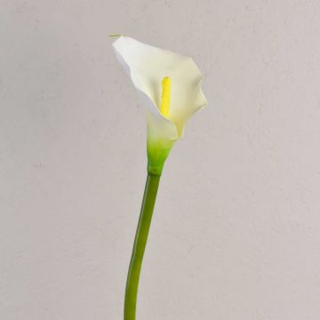 Künstliche Calla SUSANA, weiß, 70cm, 8x12cm Künstliche Calla SUSANA, weiß, 70cm, 8x12cm