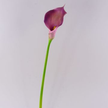 Kunstblume Calla TERESA, violett, 70cm, 10x15cm Kunstblume Calla TERESA, violett, 70cm, 10x15cm
