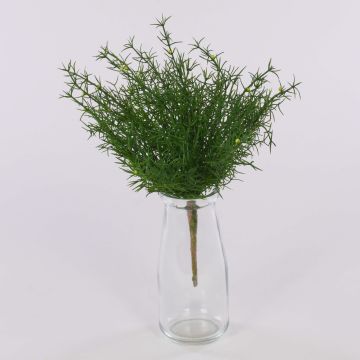 Künstlicher Spargel Asparagus sprengeri FREDERICK, Steckstab, 25cm Künstlicher Spargel Asparagus sprengeri FREDERICK, Steckstab, 25cm