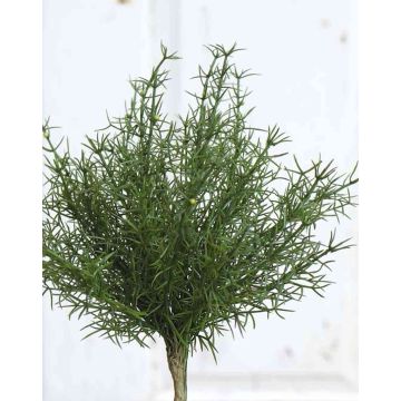 Künstlicher Spargel Asparagus sprengeri FREDERICK, Steckstab, 25cm Künstlicher Spargel Asparagus sprengeri FREDERICK, Steckstab, 25cm