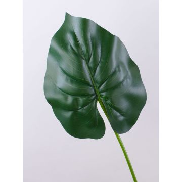 Elefantenohrblatt Kunstpflanze HUGUR, grün, 75cm