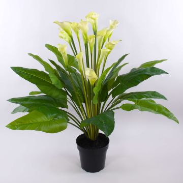 Kunstblume Zantedeschia LAURENCE, weiß, 130cm, 8x13cm