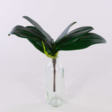 Phalaenopsis Orchidee künstlich DAPHI, Luftwurzeln, 29x33cm Phalaenopsis Orchidee künstlich DAPHI, Luftwurzeln, 29x33cm