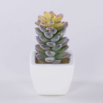 Künstlicher Pachyphytum oviferum ROBBIE, Keramiktopf, grün, 13cm