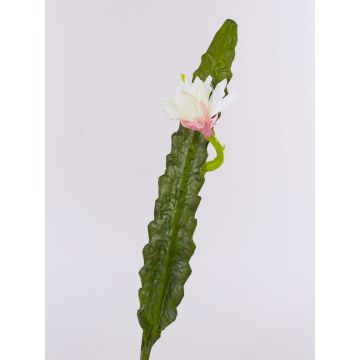 Künstlicher Kaktus Königin der Nacht DOMENICA, Blüte, weiß, 50cm