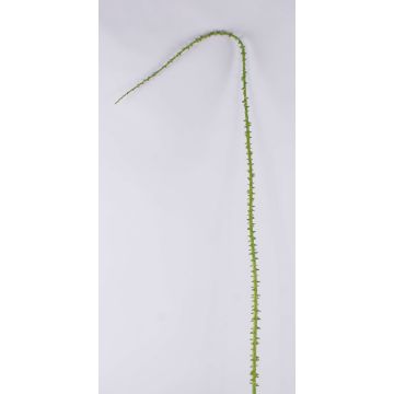Deko Rosen Dornenzweig ALOISA, grün-braun, 180cm Deko Rosen Dornenzweig ALOISA, grün-braun, 180cm