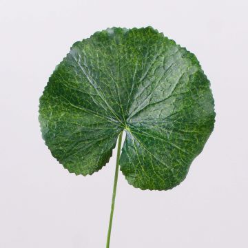 Geranien Kunstblumenblatt HEIDEGARD, grün, 38cm, Ø11cm