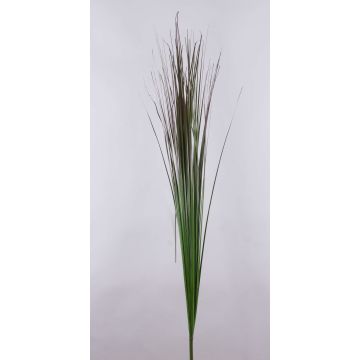 Künstliches Chinaschilf Zweig AYUMI, dunkelgrün, 160cm