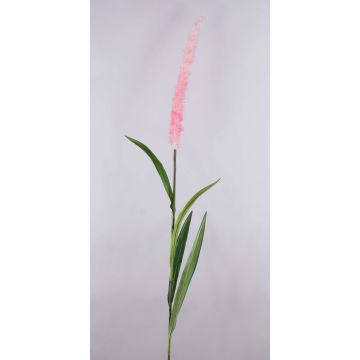 Lampenputzergras Zweig künstlich LEBRERO mit Rispen, rosa, 175cm