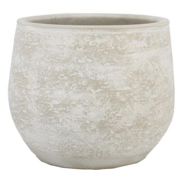 Zement Blumentopf ASIALY mit Maserung, hellgrau, 31cm, Ø36cm Zement Blumentopf ASIALY mit Maserung, hellgrau, 31cm, Ø36cm