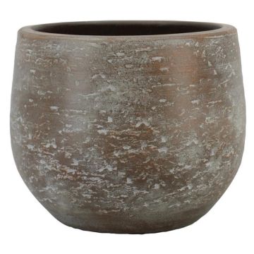 Zement Blumentopf ASIALY mit Maserung, braun, 31cm, Ø36cm Zement Blumentopf ASIALY mit Maserung, braun, 31cm, Ø36cm
