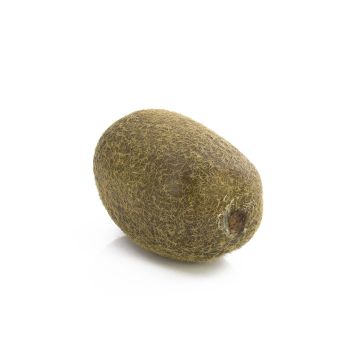 Künstliche Kiwi MIRAITA, grün, 6cm, Ø4,5cm