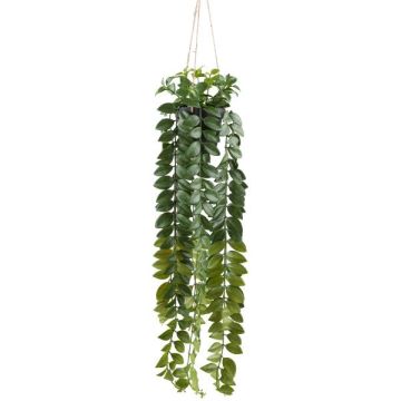 Dekohänger Columnea Blumenampel SEHNDAS im Dekotopf, grün, 85cm