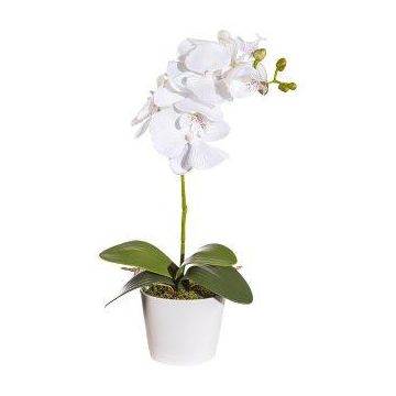 Dekoblume Phalaenopsis Orchidee TRALKE, Steckstab, Wurzeln, weiß, 40cm