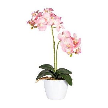 Dekoblume Phalaenopsis Orchidee FRUXO, Steckstab, Wurzeln, rosa, 50cm