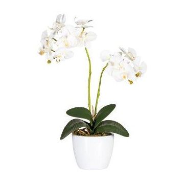 Dekoblume Phalaenopsis Orchidee FRUXO, Steckstab, Wurzeln, weiß, 50cm