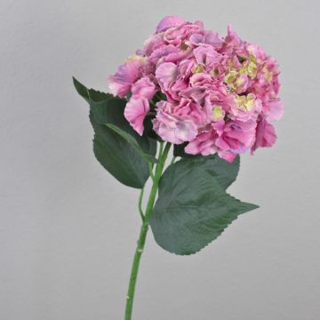 Künstliche Hortensie ANGELINA, pink-grün, 70cm, Ø23cm