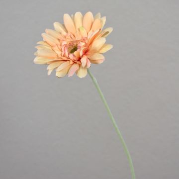 Künstliche Gerbera VIRGINIA, pfirsich-rosa, 55cm, Ø11cm