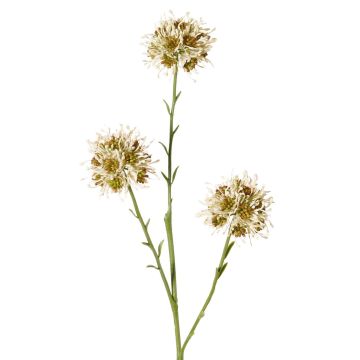 Allium Zweig künstlich ZEBU, creme, 65cm, Ø7cm
