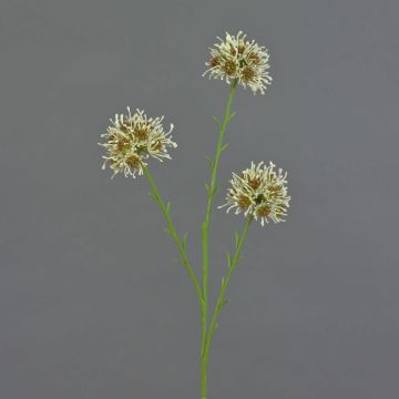 Allium Zweig künstlich ZEBU, creme, 65cm, Ø7cm