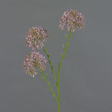 Dekozweig Allium ALIKIO, lila, 65cm, Ø7cm