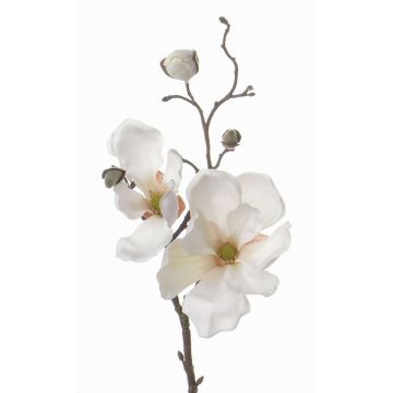 Magnolienzweig künstlich MALBINE, weiß, 50cm, Ø7-10cm Magnolienzweig künstlich MALBINE, weiß, 50cm, Ø7-10cm