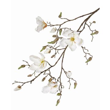 Künstlicher Magnolienzweig LORA, creme, 110cm, Ø10-12cm