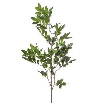 Deko Zweig Pistazie WEXTOR, grün, 90cm