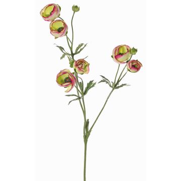 Ranunkel künstlich YARIS, grün-pink, 65cm, Ø3-4,5cm
