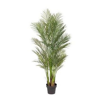 Deko Palme Areca URUBE im Dekotopf, 160cm Deko Palme Areca URUBE im Dekotopf, 160cm