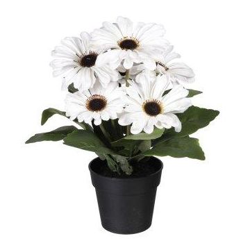 Kunstblume Gerbera KROLVEN im Dekotopf schwarz, creme, 27cm