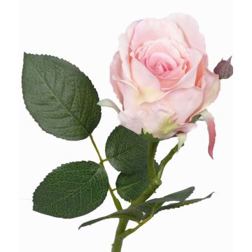 Deko Rose VRONI, rosa, 30cm, Ø6,5cm Deko Rose VRONI, rosa, 30cm, Ø6,5cm