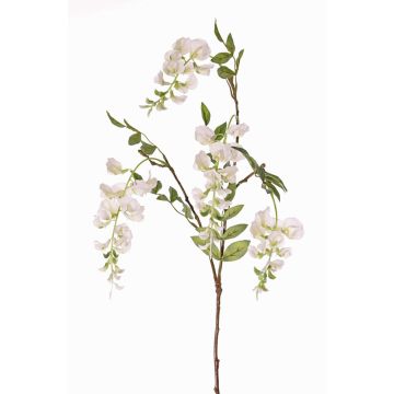 Blauregen Zweig künstlich SOULA mit Blüten, weiß, 80cm, Ø7-8cm Blauregen Zweig künstlich SOULA mit Blüten, weiß, 80cm, Ø7-8cm