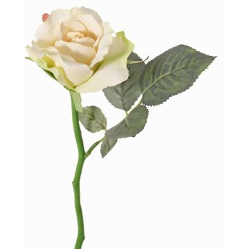 Künstliche Rose ELLI, creme-rosa, 30cm, Ø6,5cm Künstliche Rose ELLI, creme-rosa, 30cm, Ø6,5cm