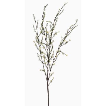 Kunstzweig Rosmarin HARBARD mit Blüten, creme, 115cm Kunstzweig Rosmarin HARBARD mit Blüten, creme, 115cm
