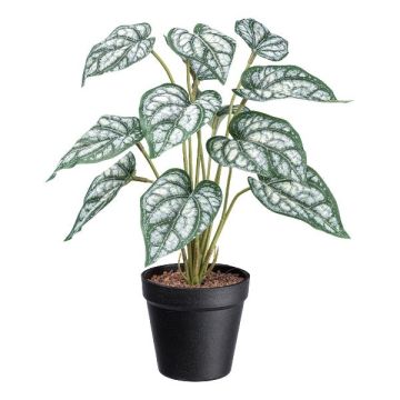 Deko Pflanze Caladium SNALHE, Dekotopf, weiß-grün, 40cm