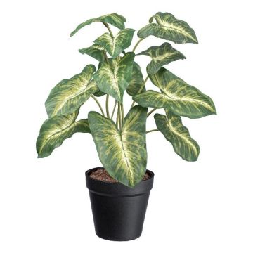 Deko Pflanze Syngonium GLOHEN, Dekotopf, grün-gelb, 40cm Deko Pflanze Syngonium GLOHEN, Dekotopf, grün-gelb, 40cm