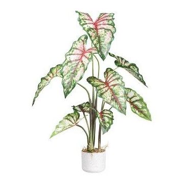 Deko Pflanze Caladium GRUHON, Melamin-Übertopf, grün-rot, 100cm