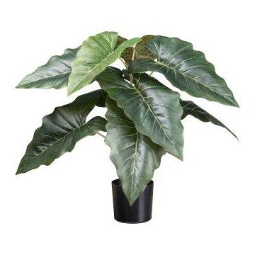 Künstliche Pflanze Colocasia ZORHEL, grün, 65cm Künstliche Pflanze Colocasia ZORHEL, grün, 65cm