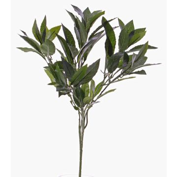 Künstlicher Lorbeerzweig NAGISA, schwer brennbar, 50cm Künstlicher Lorbeerzweig NAGISA, schwer brennbar, 50cm
