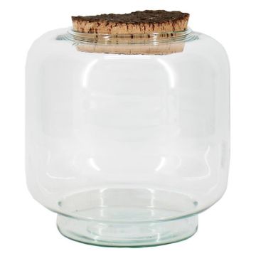 Pfalnzen Terrarium PIKFO, Glas, Korken, Standfuß, recycelt, klar, 20cm, Ø17cm Pfalnzen Terrarium PIKFO, Glas, Korken, Standfuß, recycelt, klar, 20cm, Ø17cm