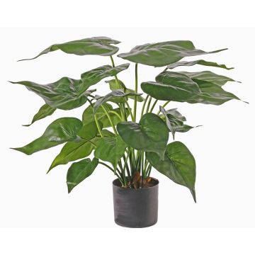 Künstliche Alocasia Cucullate AROA, grün, 50cm